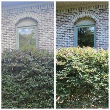 Crystal-Clear-Window-Cleaning-In-Mountain-Brook-AL 6