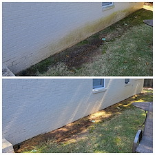 Professional-Concrete-Cleaning-Siding-Soft-Wash-In-Vestavia-Hills-AL 2