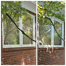 Remarkable-Window-Cleaning-In-Tuscaloosa-AL 12